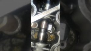 Замена гидрокомпенсаторов на опеле без специальных инструментов.