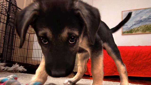 Песня Русское Радио. Просто хит! Тащусь! смотреть онлайн