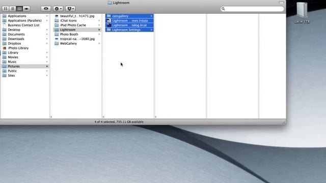 How To Transfer Lightroom Catalog From PC To Mac