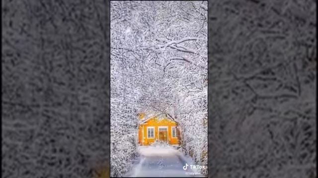 куда бежим куда идем!💋💋💋 смотреть онлайн