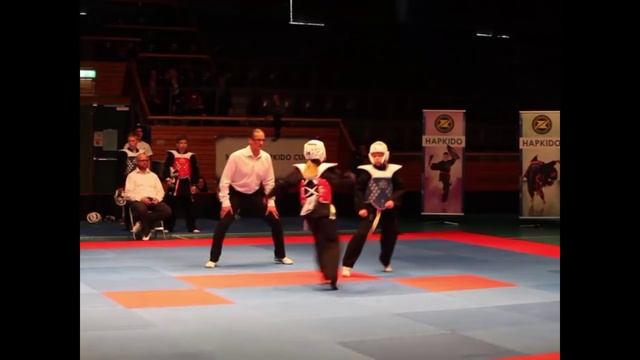 Nordic Hapkido Cup 2015 смотреть онлайн