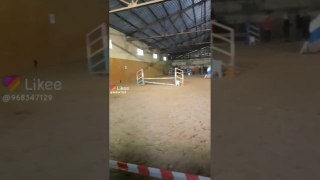 подборка видео с падениями с лошадьми. Делать 2 часть? смотреть онлайн