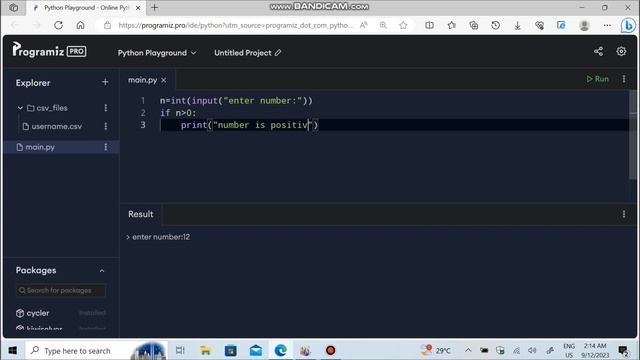 Python program to check whether the no. is positive or negative смотреть онлайн