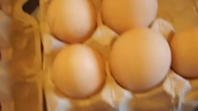 Инкубационные яйца домашней птицы. смотреть онлайн