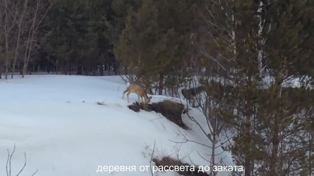 Перестану любить смотреть онлайн