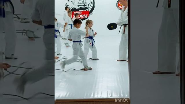 Каратэ. Отработка силы удара. смотреть онлайн