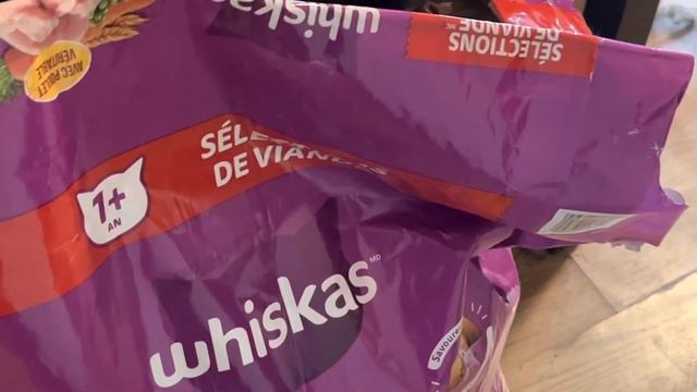 Самый хитрый кот!! Смех и грех! Посадили кота на диету, а он никак не худеет! Секрет раскрыт! смотреть онлайн