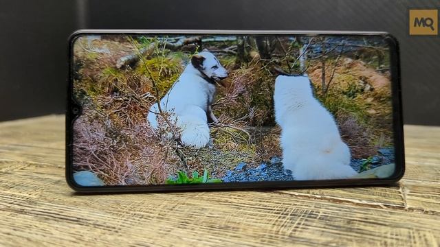 Vivo Y27s обзор. Доступный смартфон на каждый день
