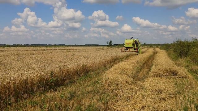 Claas Compact 30/ Клаас Компакт 30, жнива