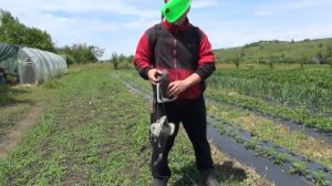 Обзор Бензиновый и Электрический опрыскивателей.