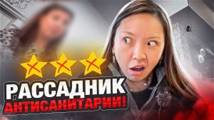 ВРЁТ, ПРЯЧЕТ КОСМЕТИКУ И КРАСИТ ГРЯЗНЫМИ КИСТЯМИ ЗА 4000 РУБЛЕЙ В ПИТЕРЕ!|NikyMacAleen