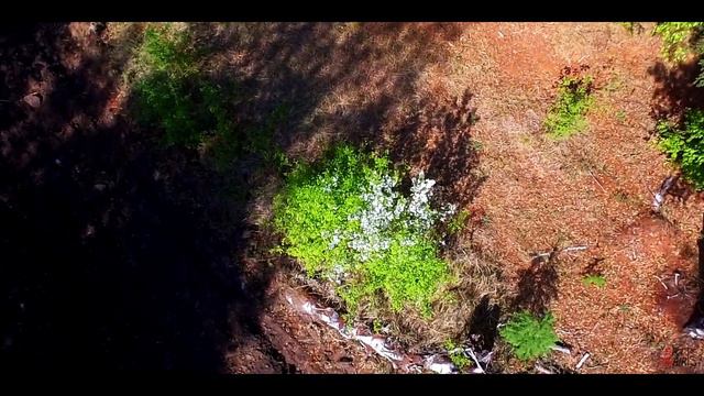 Дорога на молоковку, Чита // Аэросъемка смотреть онлайн