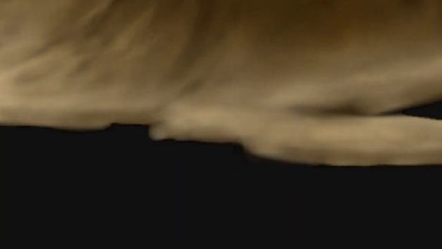 Быстрое рисование свечи. Fast painting of a candle смотреть онлайн