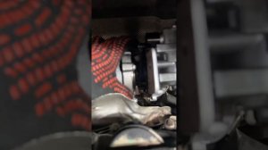 Замена турбины #ford #transit 2.2 #diesel пробег 247 000 км. #автосервис #автозапчасти #best #nvrsk