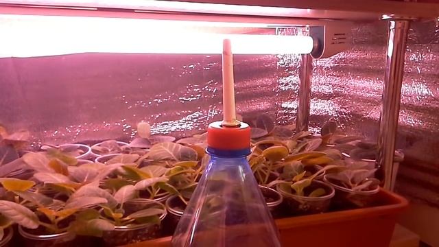 Стеллажи для цветов смотреть онлайн