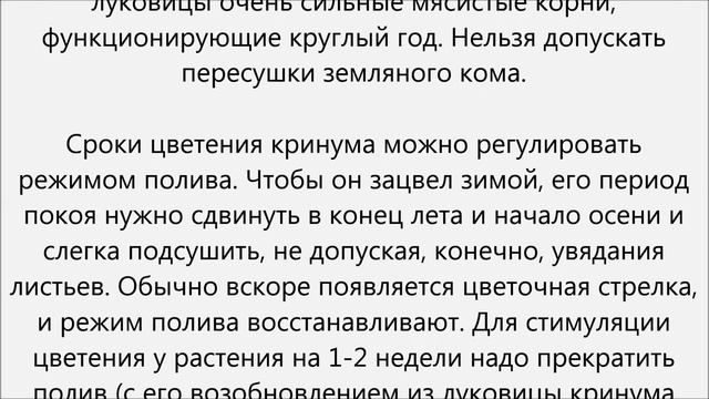 Кринум уход смотреть онлайн