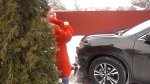 VLOG Празднуем покупку машины