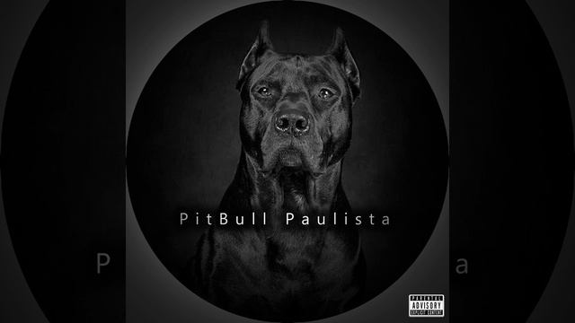 Pitbull Paulista · MC SK · Raphaelz · Duk · Mc Se7 Copas смотреть онлайн