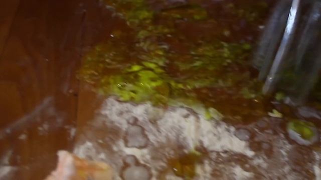 Как Сделать с Радостью