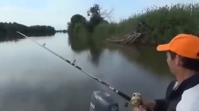 Как ловить рыбу на реке смотреть онлайн