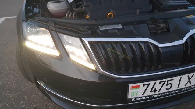 Skoda Octavia 2017 2.0 d (150л.с) смотреть онлайн