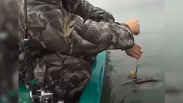 Поймал огромного СОМА! смотреть онлайн