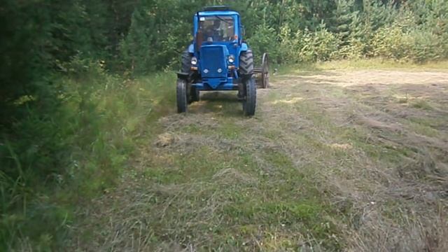 Гребём сено конными граблями на тракторе мтз 50 смотреть онлайн