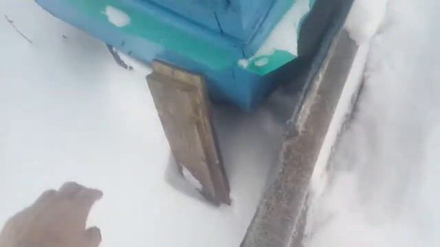 Минус одна семья :-( смотреть онлайн