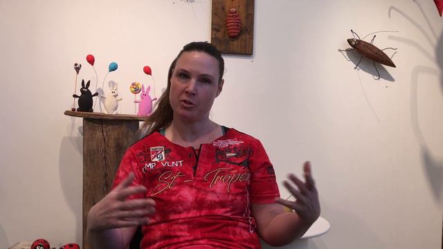 Artist Talk: Anna Atte Larsson смотреть онлайн