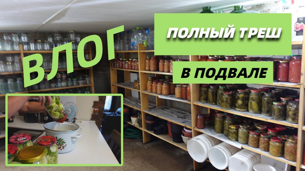 Это полный треш/Какие заготовки остались в подвале/Упустила огурцы@SubTatiana смотреть онлайн