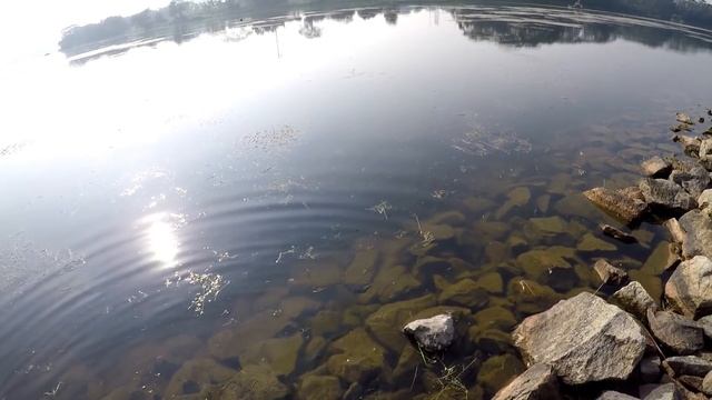 Do fish/bait scents work? смотреть онлайн