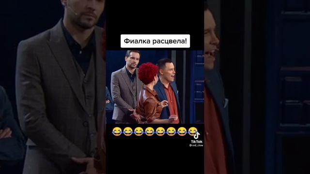 фиалка расцвела смотреть онлайн