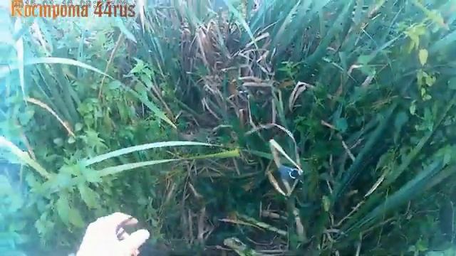 Удачная охота с Сайгой 410!