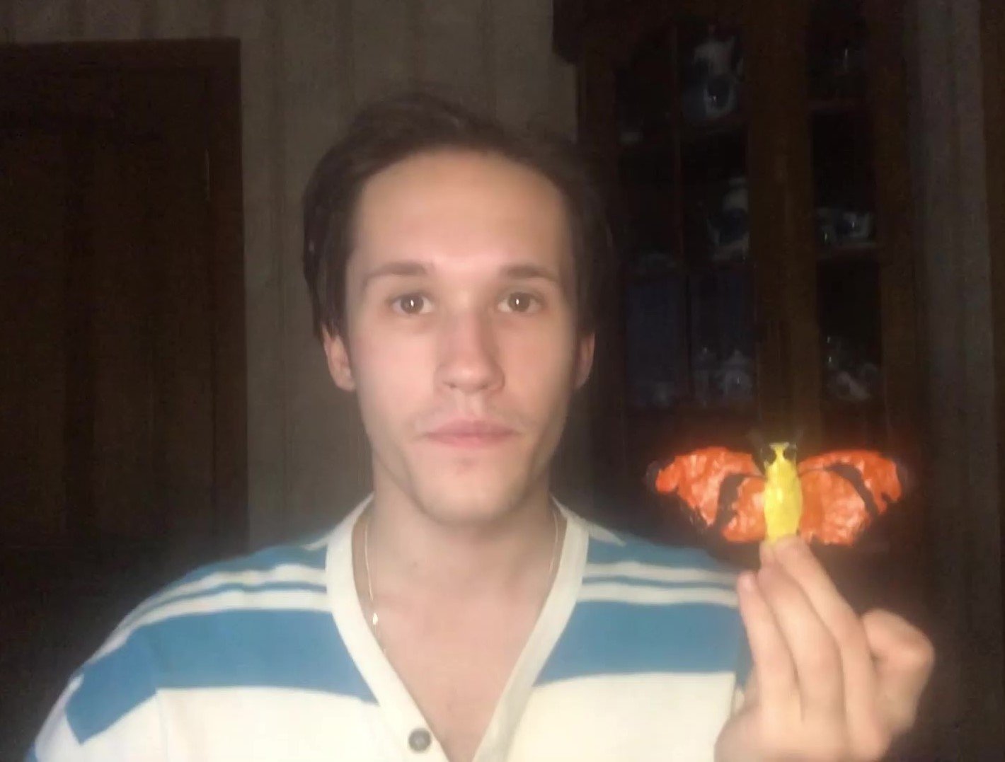 Яркая бабочка Нового Света: леплю из глины бабочку под лаконичным названием джулия смотреть онлайн