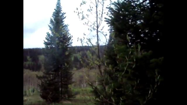 Опять прогулки по тайге весна 2018. смотреть онлайн