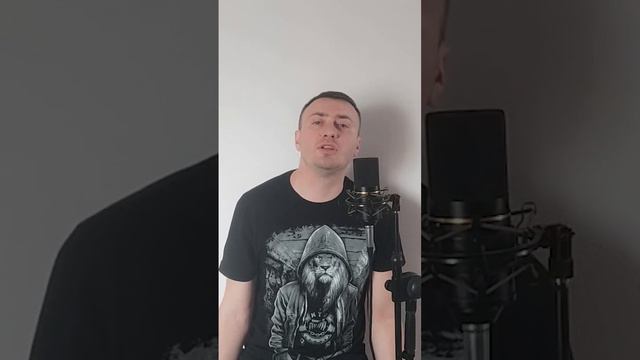 Дима Корсо - Дельфины (cover by Skal)