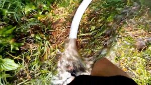 пруд своими силами эжектор-илосос первый опыт