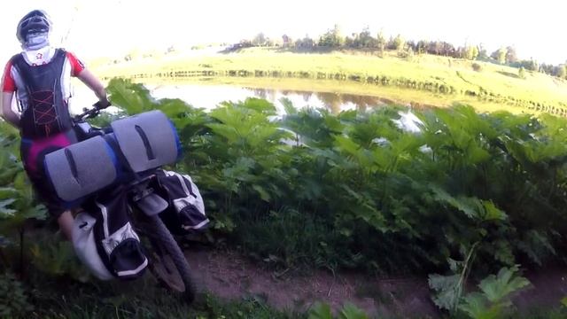 Чем опасен Борщевик? Мифы и факты о растении