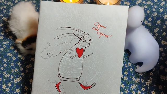 Мои покупки с wildberries, и с канцелярского магазина. смотреть онлайн