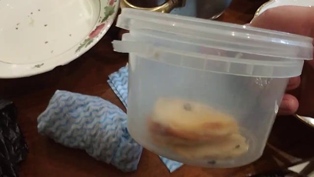 Особенности проращивания косточек плодовых. Обзор винограда , хурмы и туи. смотреть онлайн