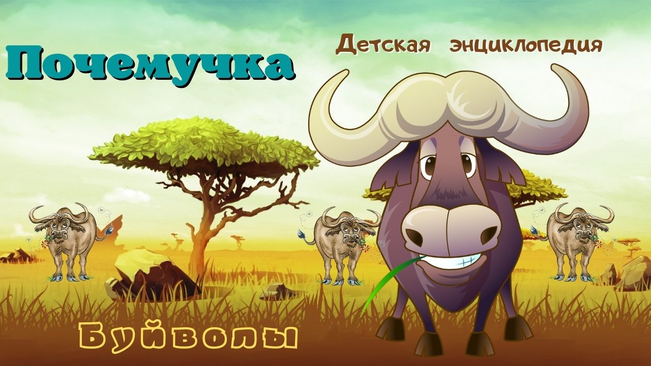 0+ Буйволы. Интересные факты. Почемучка. Детская энциклопедия. смотреть онлайн