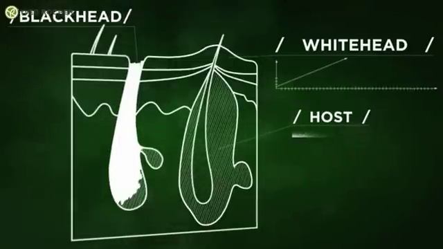 New Yves Rocher Skin Care Products : Pure System смотреть онлайн