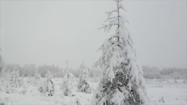 Где-то в поле возле Магадана... смотреть онлайн