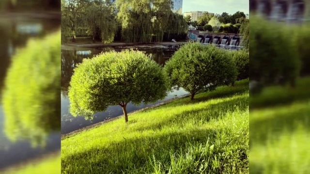 Память меня заставляет заплакать. Автор стихов Инна Якуш. Память рай и ад одновременно. Поэзия души смотреть онлайн