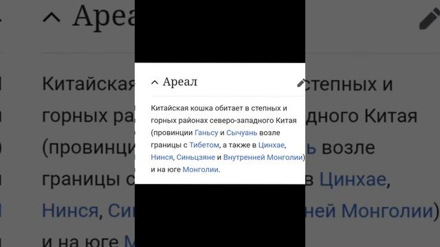 Всё о китайской кошке (горная) смотреть онлайн