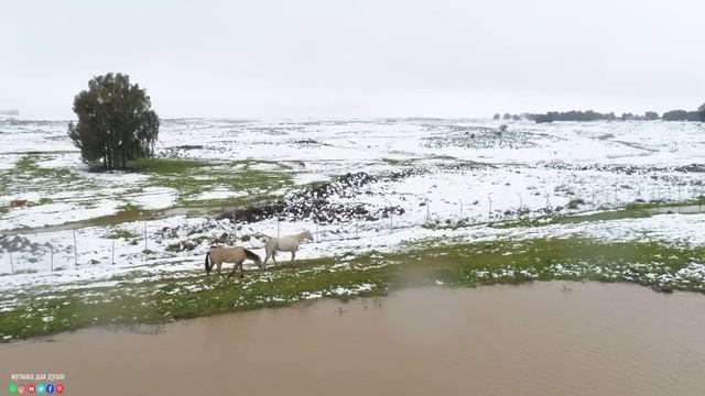 Самая красивая мелодия в мире... Эту музыку можно слушать вечно! Слушать одно удовольствие. смотреть онлайн