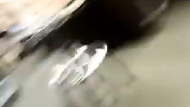 Fender 75 battle amp from bottom of lake смотреть онлайн