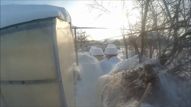 как русский фермер выживает лютой зимой?! ИЗ ГРЯЗИ В КНЯЗИ №259 смотреть онлайн