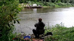 Фидер на Десне. Супер рыбалка