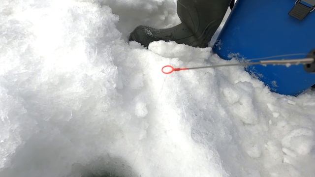 ЗИМНЯЯ РЫБАЛКА/ЛОВИМ ПОЛОСАТИКОВ смотреть онлайн